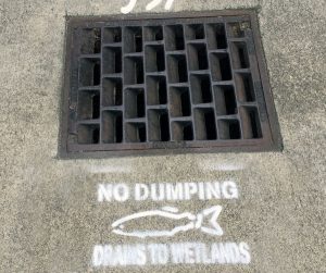 President’s Report after the Board Meeting July 20, 2017