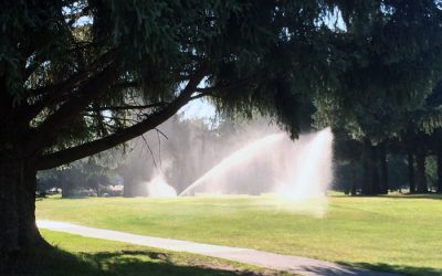 Read CCGCE’s New 2021 Updated & Restated Declarations (CC&Rs)