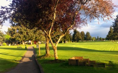 Download Approved Cut-Out Parking Area Rules—Effective Dec. 2016