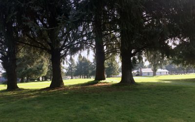 CCGCE Board Actions June 23, 2016