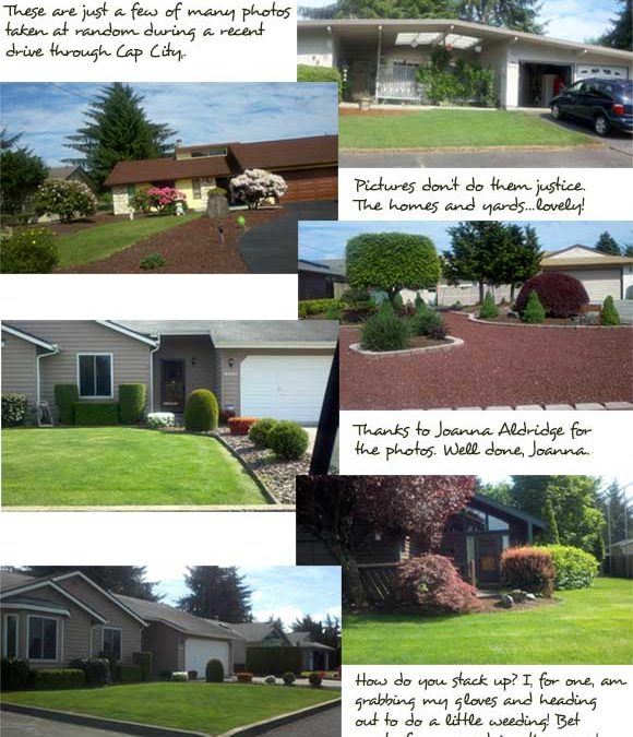 CCGCE Newsletter Summer 2013