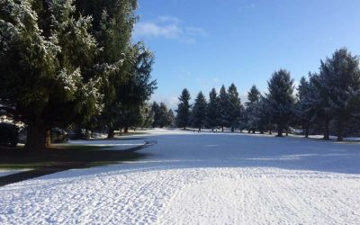 Our Great Winter ’24 CCGCE Newsletter is Here!