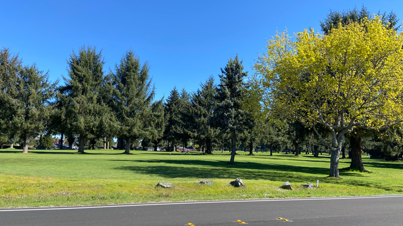 Read all about it: CCGCE's Great Spring Newsletter Just Published! 1 66th IMG 4874